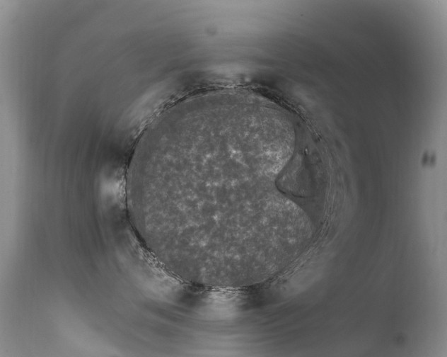 X0000112210720200908141458