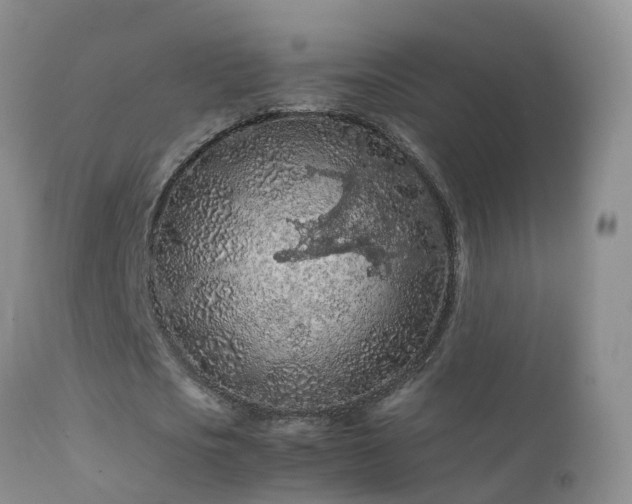 X0000112210721200908141457