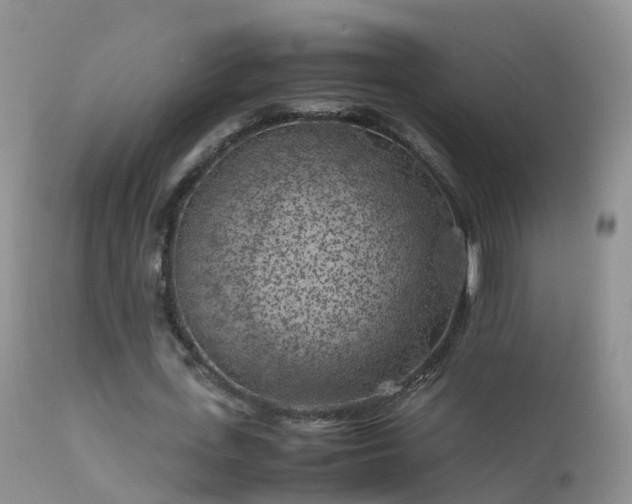 X0000112210723200908141457