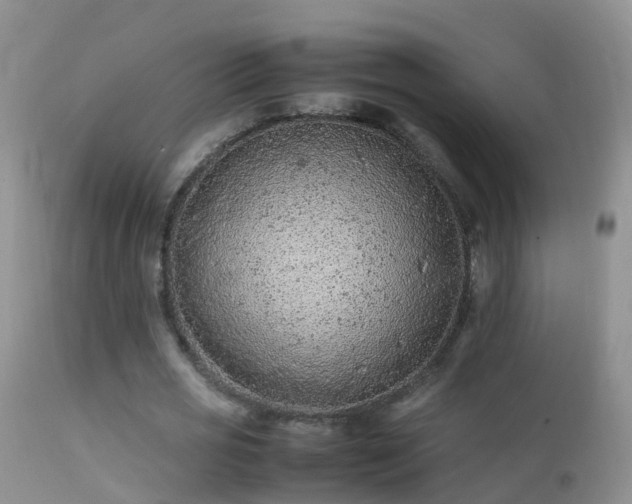 X0000112210725200908141457