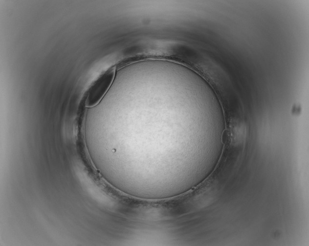 X0000112210726200908141457