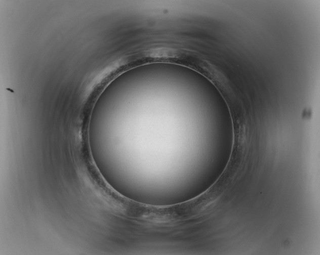 X0000112210727200908141457