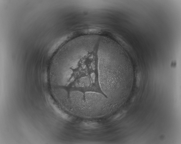 X0000112210729200908141457