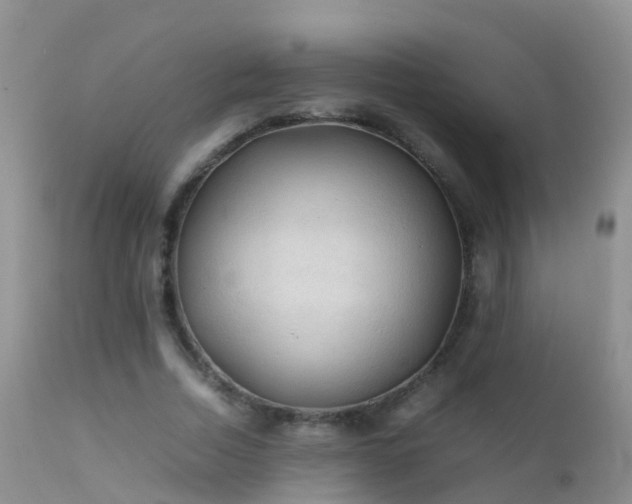 X0000112210730200908141457