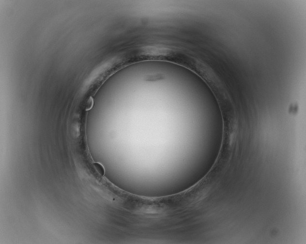 X0000112210731200908141457