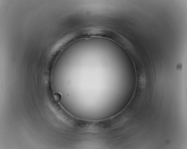 X0000112210732200908141457