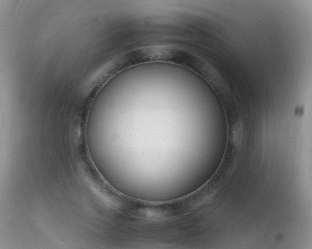 X0000112210733200908141457