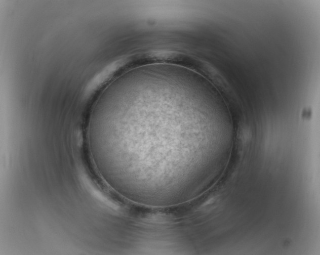 X0000112210734200908141457