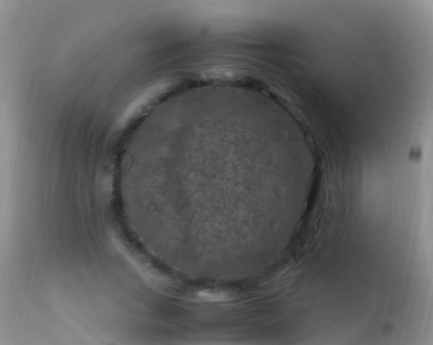 X0000112210735200908141457