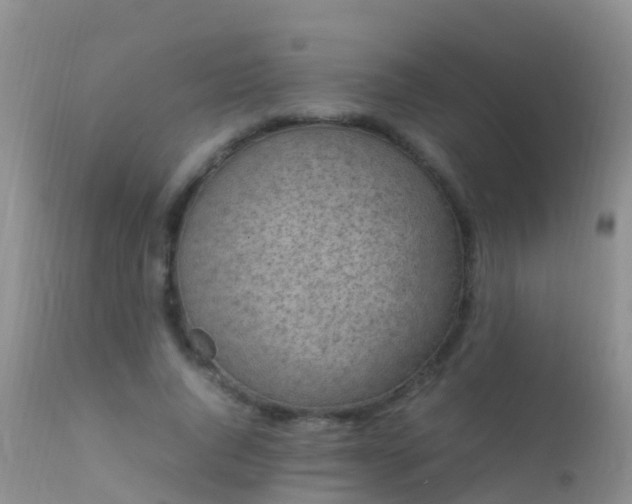 X0000112210736200908141457