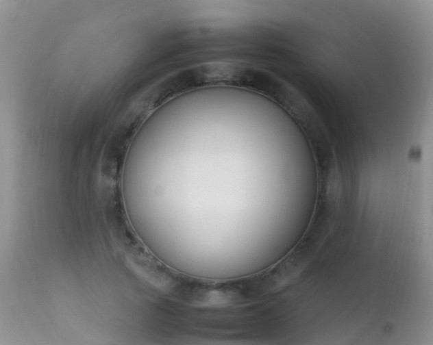 X0000112210737200908141457