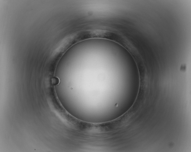 X0000112210738200908141457