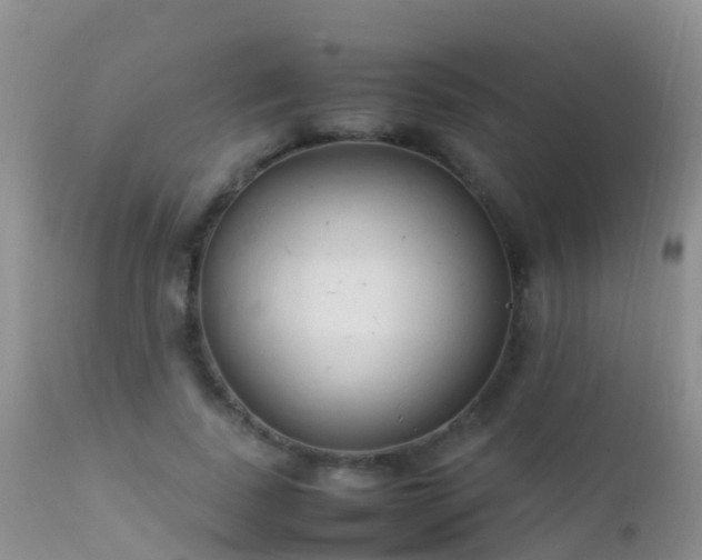 X0000112210739200908141457