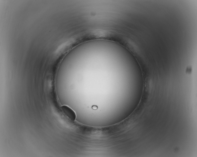 X0000112210740200908141457