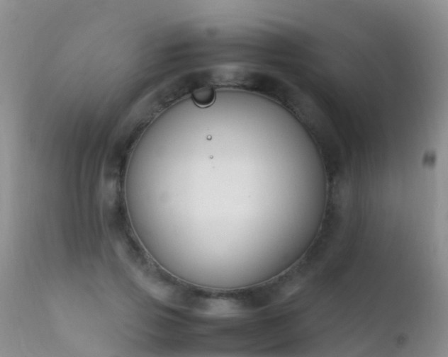 X0000112210741200908141457