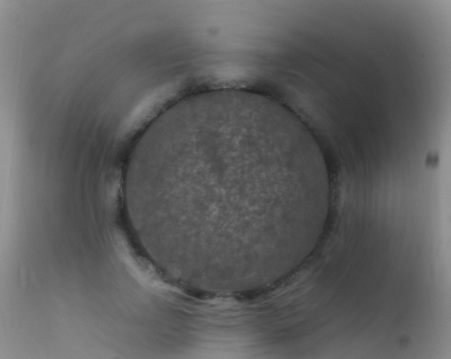 X0000112210742200908141457