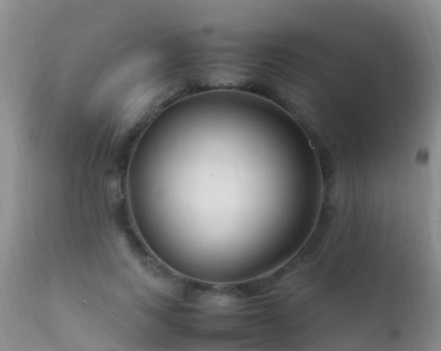 X0000112210743200908141457