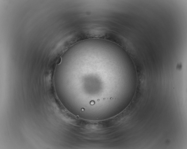 X0000112210745200908141457