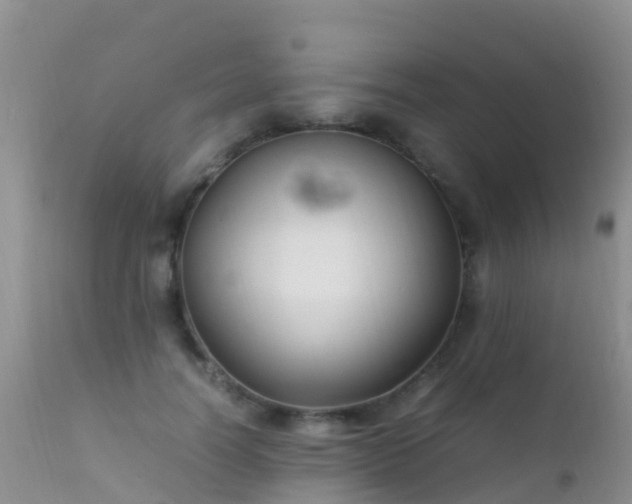 X0000112210746200908141457