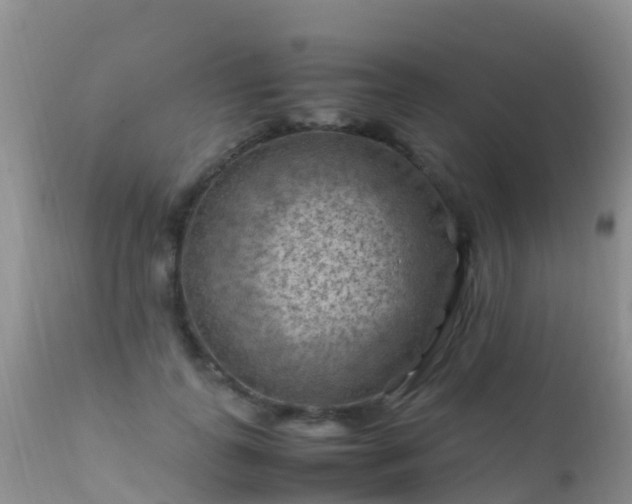 X0000112210747200908141457