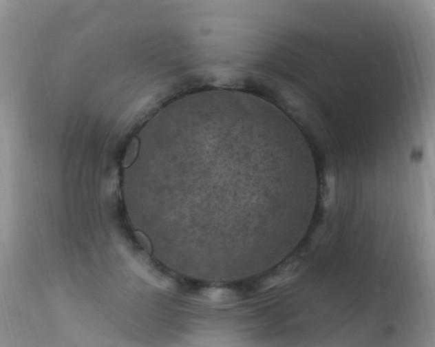 X0000112210748200908141457