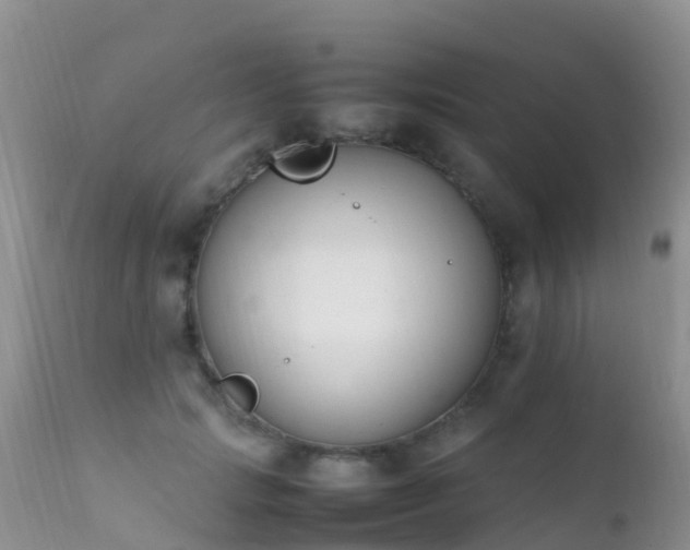 X0000112210749200908141457