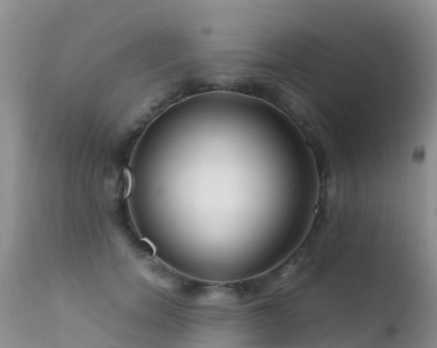 X0000112210750200908141457