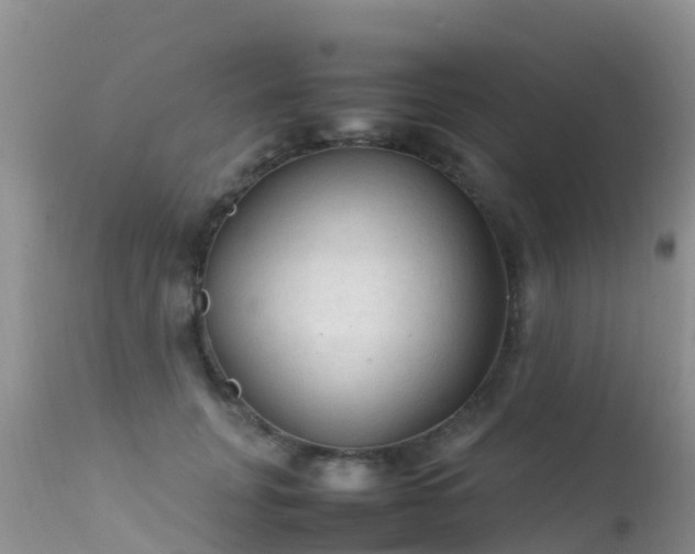 X0000112210751200908141457