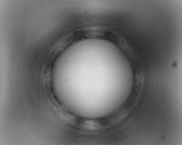 X0000112210753200908141457