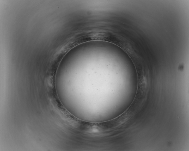 X0000112210755200908141457