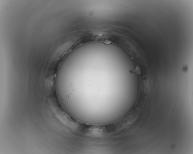 X0000112210756200908141457