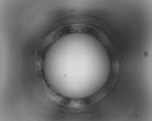 X0000112210757200908141457