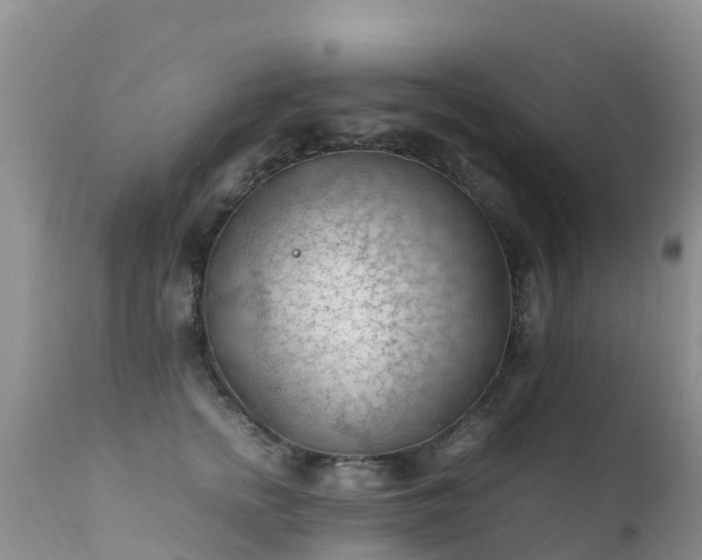 X0000112210758200908141457