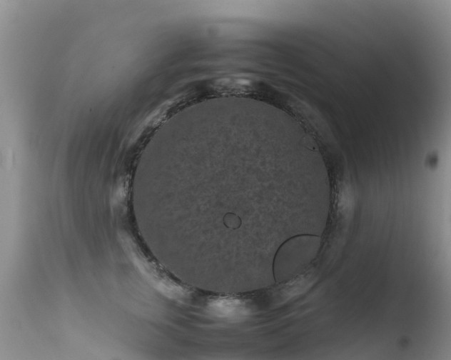 X0000112210759200908141457