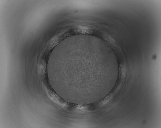 X0000112210760200908141458