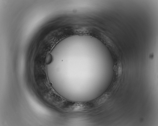 X0000112210764200908141458