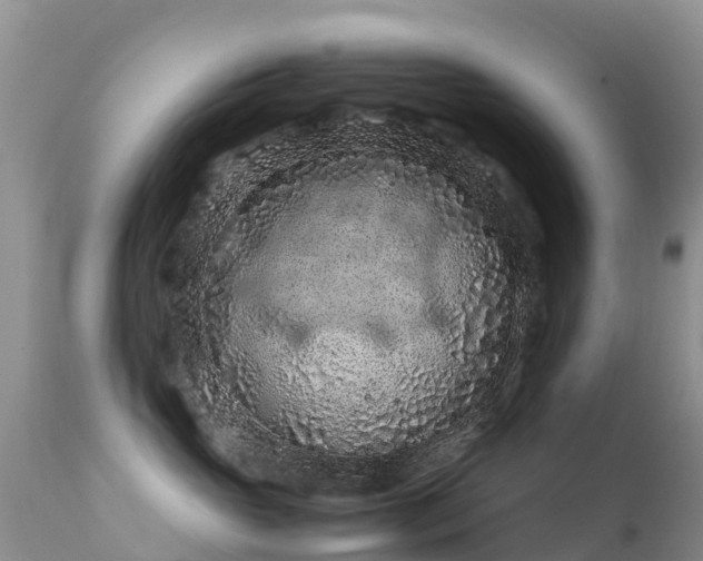 X0000112210765200908141458