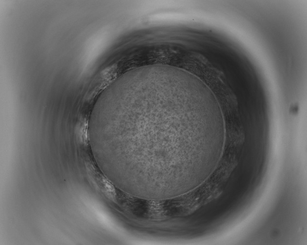 X0000112210766200908141458