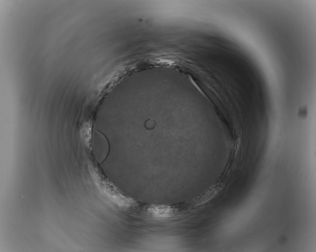 X0000112210767200908141458