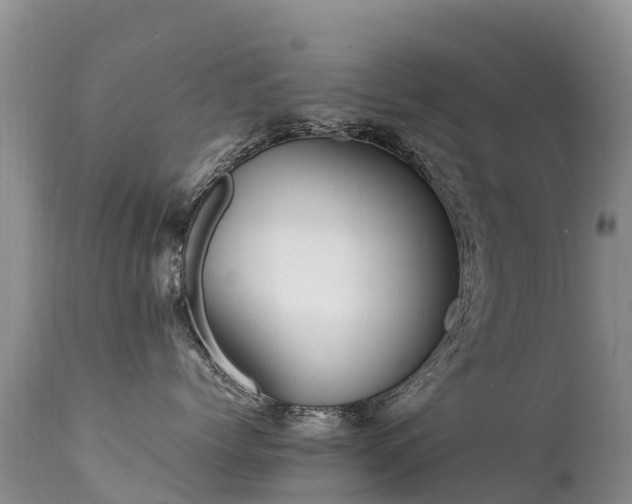 X0000112210768200908141458