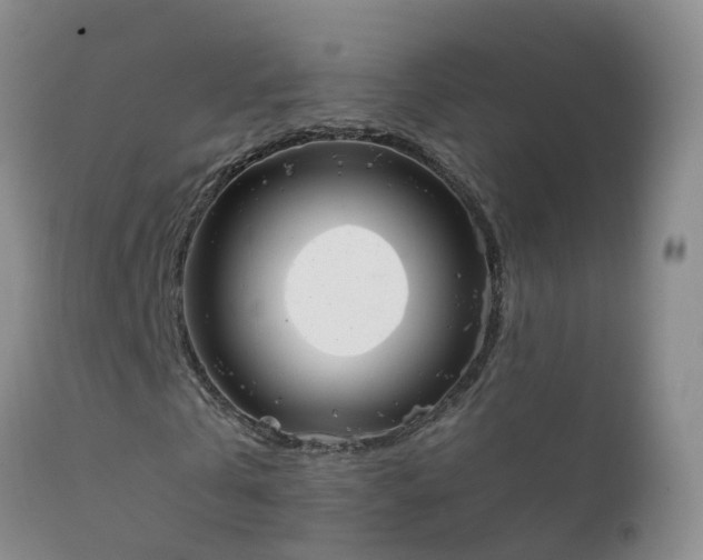 X0000112210769200908141457