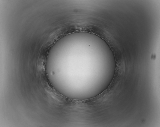 X0000112210770200908141457