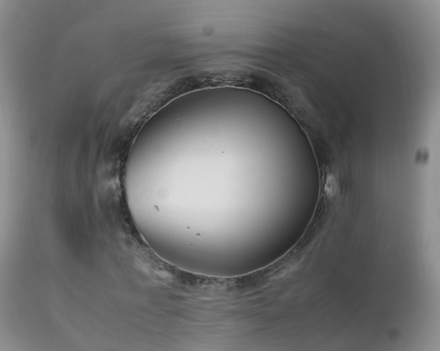 X0000112210771200908141457