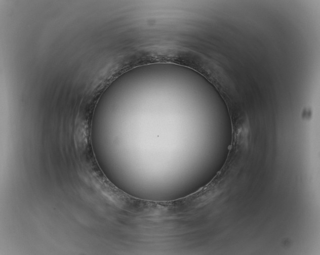 X0000112210772200908141457