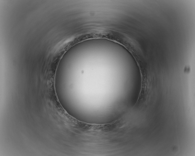 X0000112210773200908141457