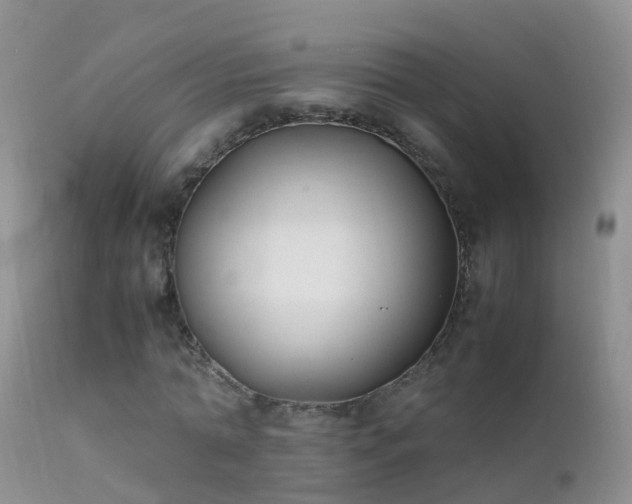 X0000112210774200908141457