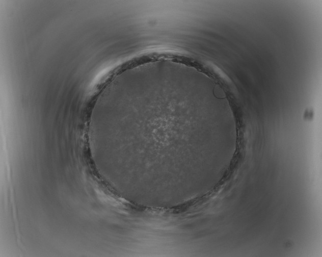 X0000112210775200908141457