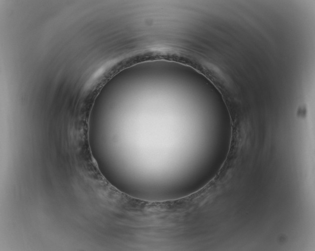 X0000112210776200908141457