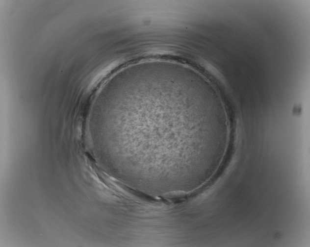 X0000112210777200908141457