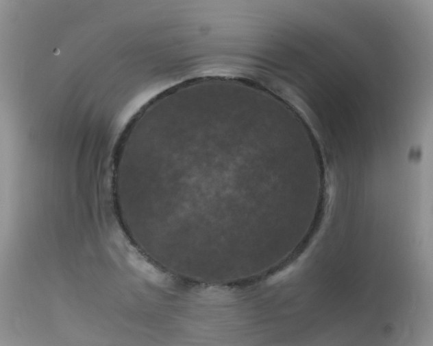 X0000112210779200908141456